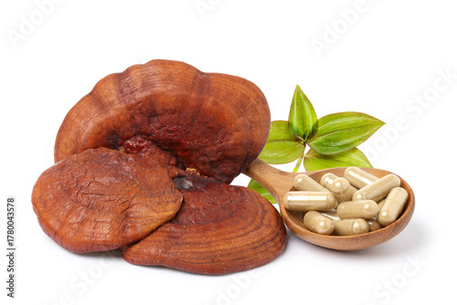 Lingzhi mushroom. lingzhi mushroom powder capsules in a wooden spoon with leaves. isolated on white background.
