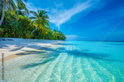 Fototapeta Naklejka Na Ścianę i Meble -  Tranquil closeup calm sea water waves with palm trees. Beautiful Panorama. Tropical island beach landscape exotic shore coast. Summer vacation, holiday amazing nature. Relax paradise, Maldives.