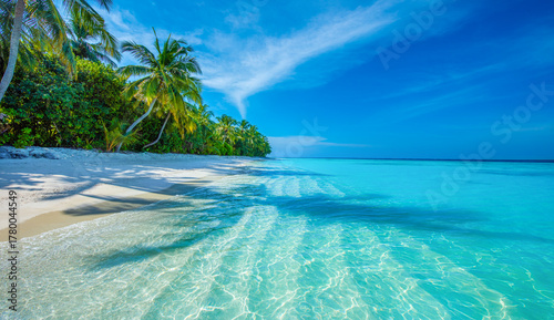 Fototapeta Naklejka Na Ścianę i Meble -  Tropical island beach landscape exotic shore coast. Tranquil closeup calm sea water waves with palm trees. Beautiful Panorama. Summer vacation, holiday amazing nature. Relax paradise, Maldives.