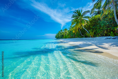 Fototapeta Naklejka Na Ścianę i Meble -  Tropical island beach landscape exotic shore coast. Tranquil closeup calm sea water waves with palm trees. Beautiful Panorama. Summer vacation, holiday amazing nature. Relax paradise, Maldives.