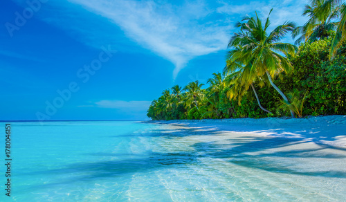 Fototapeta Naklejka Na Ścianę i Meble -  Tropical island beach landscape exotic shore coast. Tranquil closeup calm sea water waves with palm trees. Beautiful Panorama. Summer vacation, holiday amazing nature. Relax paradise, Maldives.