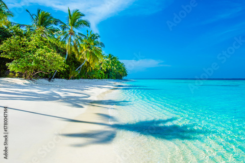 Fototapeta Naklejka Na Ścianę i Meble -  Tropical island beach landscape exotic shore coast. Tranquil closeup calm sea water waves with palm trees. Beautiful Panorama. Summer vacation, holiday amazing nature. Relax paradise, Maldives.