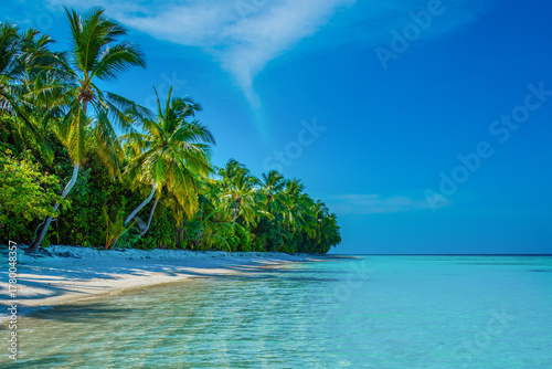 Fototapeta Naklejka Na Ścianę i Meble -  Tranquil closeup calm sea water waves with palm trees. Tropical island beach landscape exotic shore coast. Summer vacation, holiday amazing nature, Maldives.