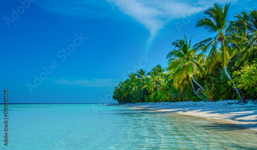 Fototapeta Naklejka Na Ścianę i Meble -  Tranquil closeup calm sea water waves with palm trees. Tropical island beach landscape exotic shore coast. Summer vacation, holiday amazing nature, Maldives.
