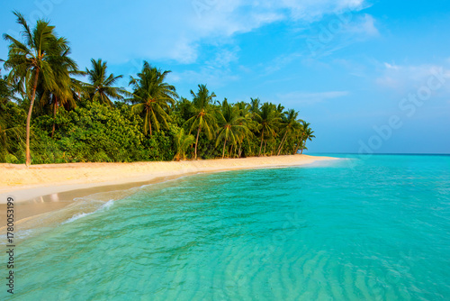 Tranquil closeup calm sea water waves with palm trees. Beautiful panorama view. Tropical island beach landscape exotic shore coast. Summer vacation, holiday amazing nature, Maldives.