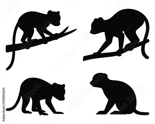 Four black kinkajou silhouettes on white background animal arboreal