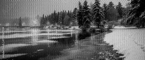 Winter fog drifts over a stone river wall reflecting the forest and cloudy morning sky.