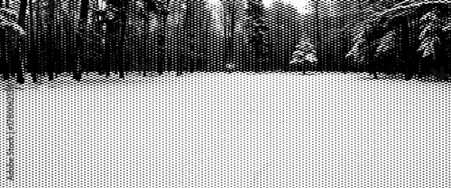 Black and white grunge background of a snowy winter forest landscape with frozen trees.