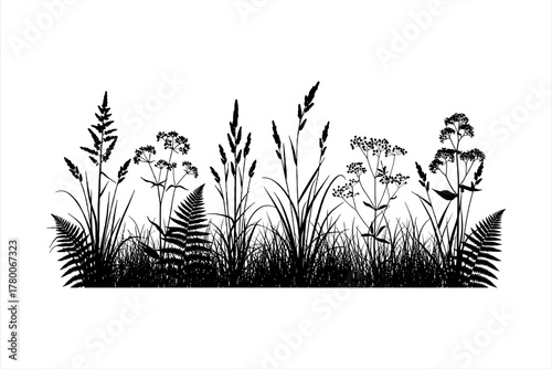 Black and white illustration of meadow plants