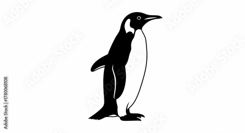 Emperor penguin black and white illustration