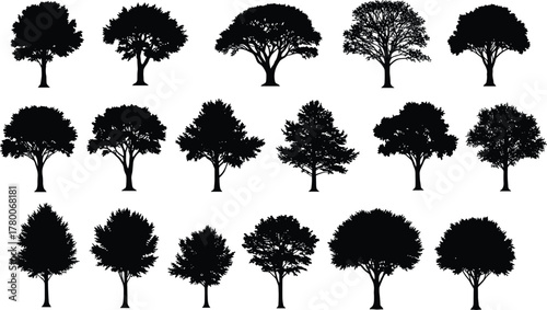 Collection of realistic tree silhouettes, detailed natural forest shapes for landscape design, eco illustration, botanical artwork, and environmental vector graphics