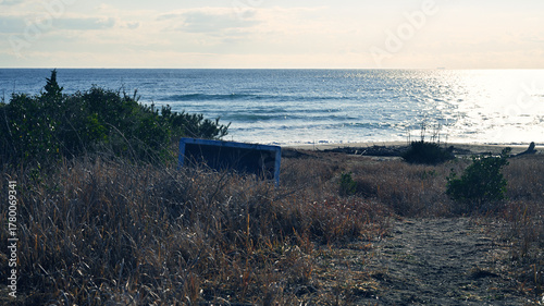 海辺の朝