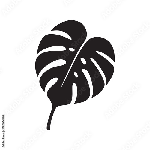 Monstera Deliciosa Leaf Silhouette for Minimalist Design and Modern Aesthetics Creating Natural and Tropical Elements with Isolated Plant
