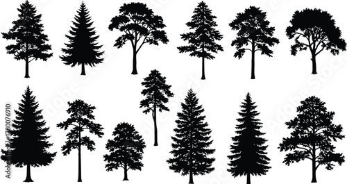 Collection of various tree silhouettes with detailed branches and leaves, natural forest design, vector illustration for landscape, nature, and environment art
