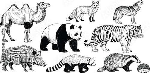 Collection of Diverse Mammals Including Camel, Fox, Wolf, Boar, Panda, Tiger, Red Panda, and Badger