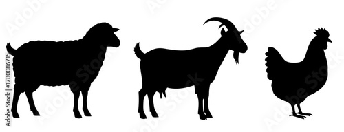 Farm animal silhouettes, sheep, goat and chicken in a row, clean graphic style, perfect for educational materials, logo design, animal themes, and rural projects