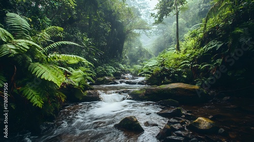 A tranquil creek meanders through a lush rainforest, shrouded in mist and greenery, creating a serene and idyllic scene.