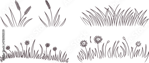 Black and white line drawings of grass and flowers