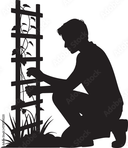 Silhouette Gardener Caring for Vine Plant on Trellis Garden Cultivation Support