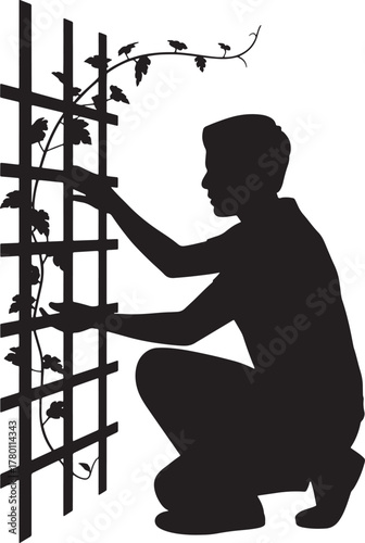 Silhouette Gardener Tending Vine Plant Climbing Trellis Upward Growth Garden Support