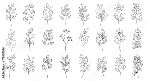 Collection of delicate handdrawn botanical illustrations featuring various leaves and small floral sprigs, isolated on a