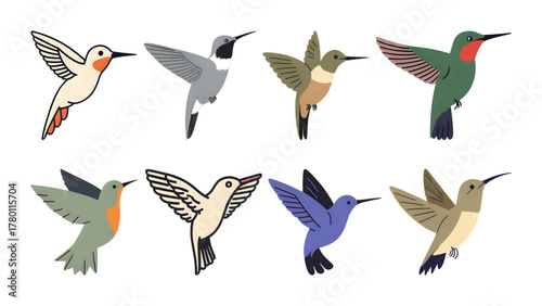 set of colorful birds