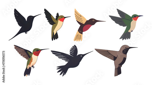 set of birds