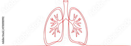 Minimalist Red Line Art Illustration of Human Lungs on White Background