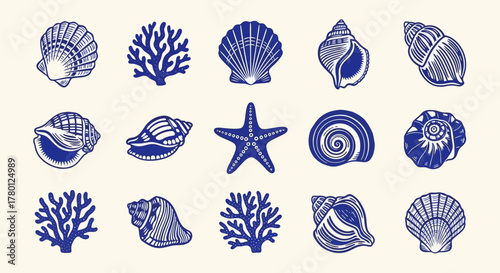 Blue and White Seashell and Coral Collection Illustration