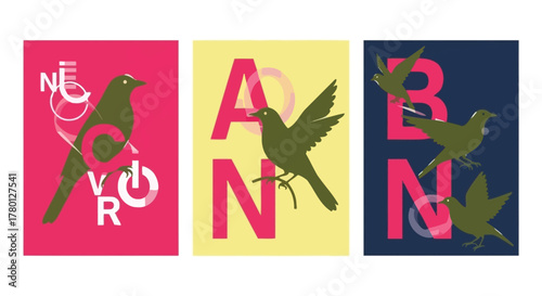Creative Illustrations Bird Silhouettes and Typography Designs in Vibrant Color Palettes