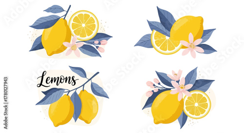Vibrant Lemon Illustrations with Blossoms Fresh Citrus Fruit Designs for Decorative Purposes