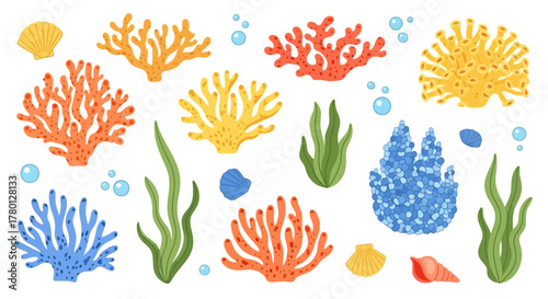 Colorful coral reef elements and underwater plants isolated on white background