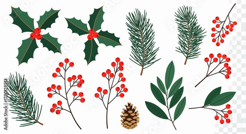 Festive Holiday Decorations Holly, Berries, Pine Sprigs, and Cones for Seasonal Designs