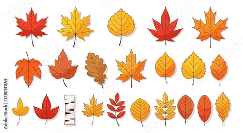 Colorful Autumn Leaves Collection Variety of Seasonal Foliage