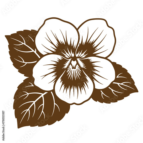 Beautiful vintage art illustration of a detailed brown and white pansy flower design