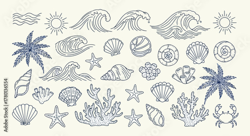 Collection of handdrawn marine elements including waves, sun, palm trees, seashells, starfish, coral, and a crab