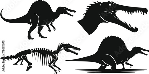 Spinosaurus dinosaur prehistoric animal vector illustration set concept