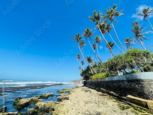 tropical beach with coconut trees