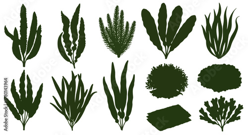 Tableau sur toile A collection of various green plant silhouettes, including leafy plants, bushy shrubs, and grassy vegetation, arranged in two rows against a white background