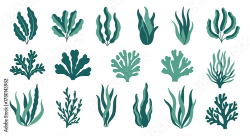 A collection of stylized seaweed and algae illustrations in various shapes and shades of green, isolated on a white background.