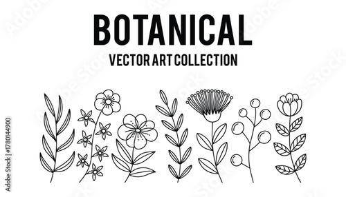 Black and white line art botanical elements collection with text B O T A N I C A L V E C T O R A R T C O L E C T I O N