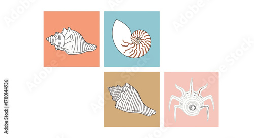 Four square illustrations of seashells and sea creatures in pastel colors, arranged in a grid pattern.