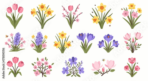 A beautiful collection of isolated spring flowers including tulips, daffodils, crocuses, and hyacinths in a flat vector style.