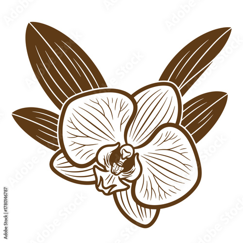 Elegant vintage art illustration of a delicate orchid flower with detailed petals and leaves