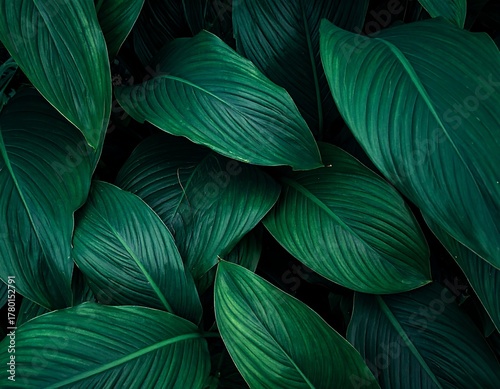 Wallpaper Mural Close-up of lush, green leaves with detailed textures and shadows Torontodigital.ca