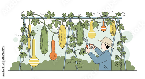 A Gardener Harvested Gourds: A Vibrant Illustration of Agricultural Labor