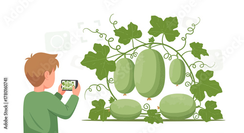 A Person Captures The Vegetables Using Phone Creating Modern Illustration and Creative Work