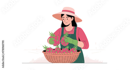 A Smiling Farmer Harvesting Fresh Dragon Fruits in Basket for Health and Nutrition