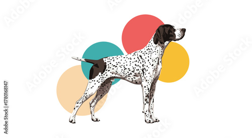 A noble Pointer dog with elegant white and black spotted fur stands proudly in a classic pointing pose, complemented by colorful circles.