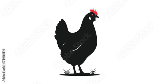 A striking black hen silhouette with a vibrant red comb and wattle stands gracefully on a small patch of grass, isolated on a clean white background.